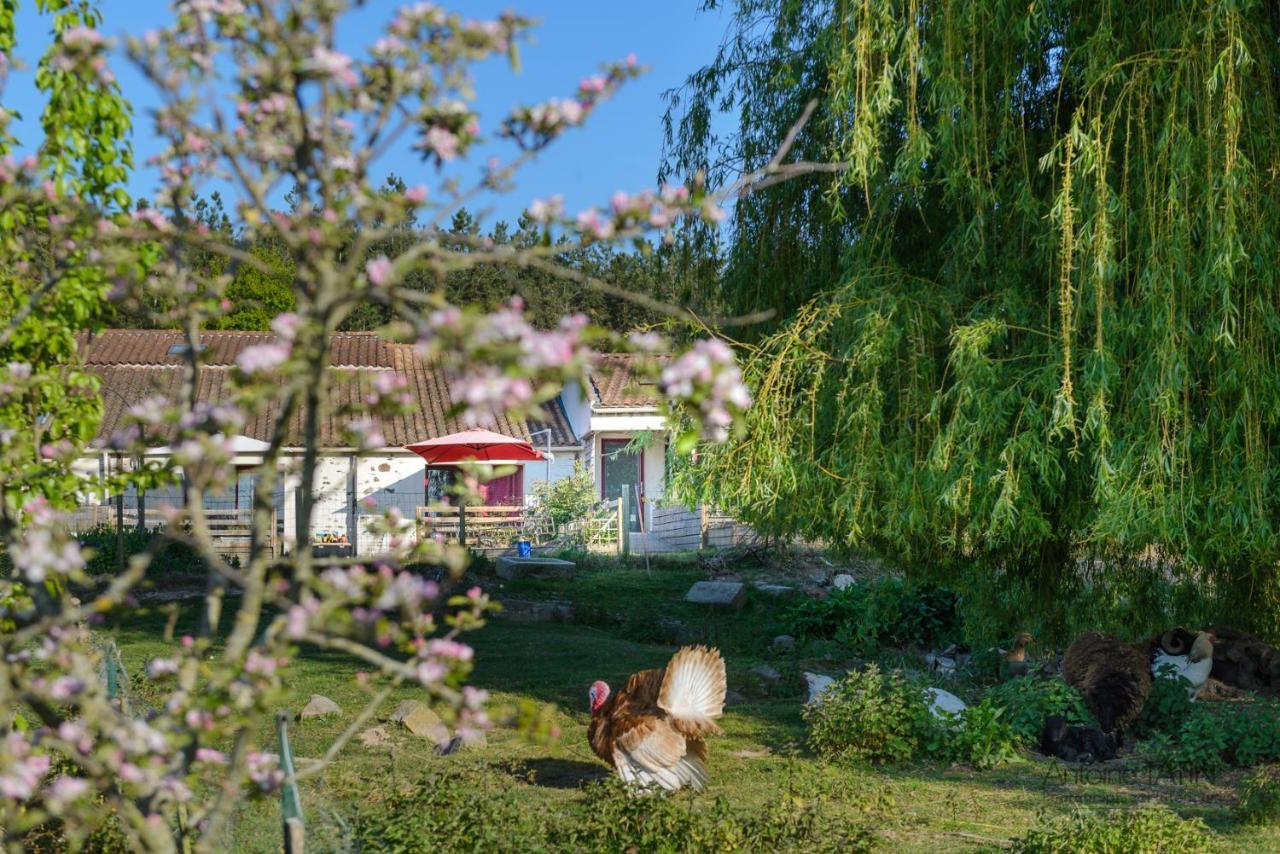 La Chevrerie Bed & Breakfast Vaire Bagian luar foto